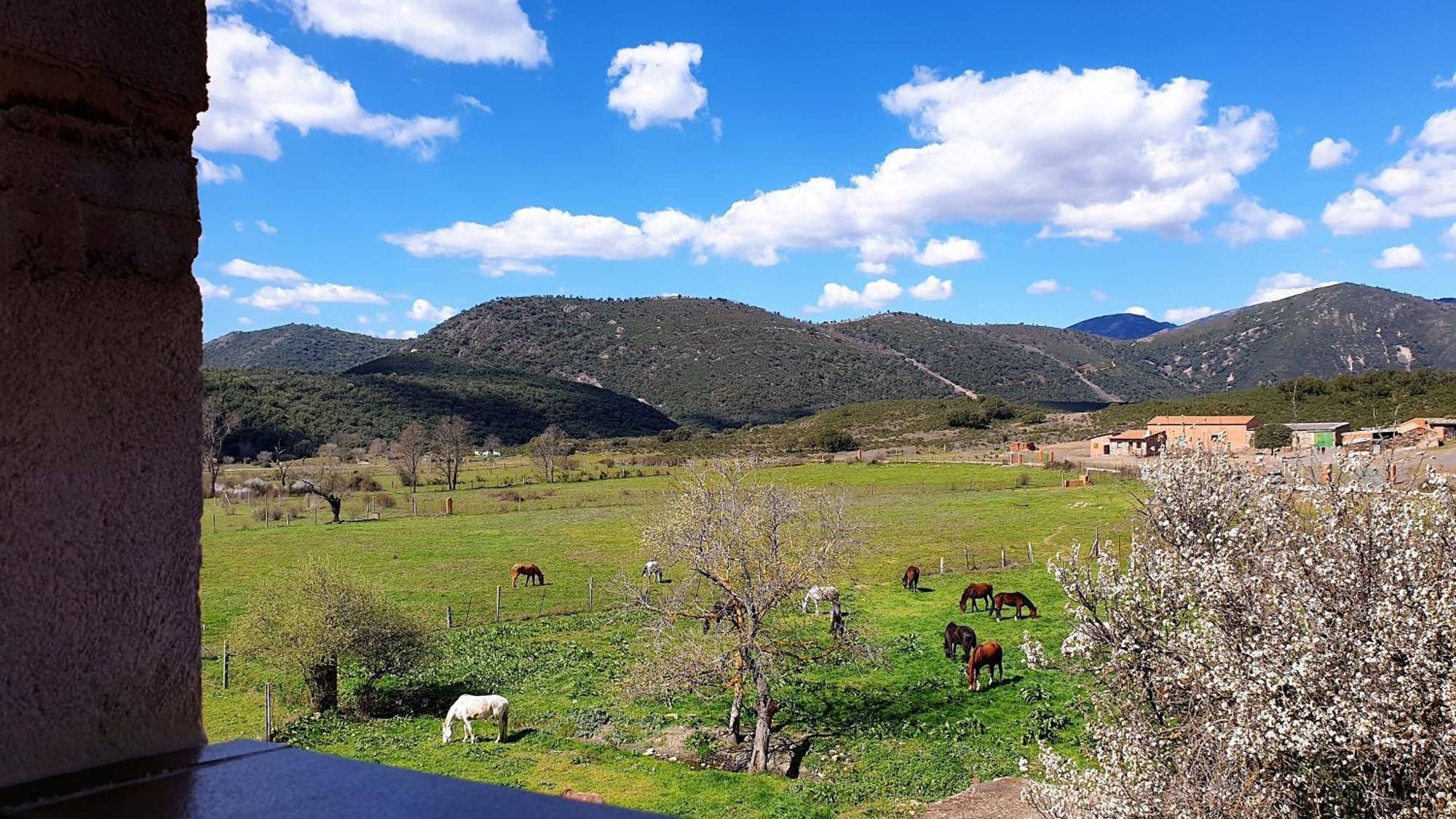 Casa Con Piscina En Parque Nacional De Cabaneros Navas de Estena Exterior foto
